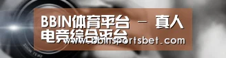 公司动态