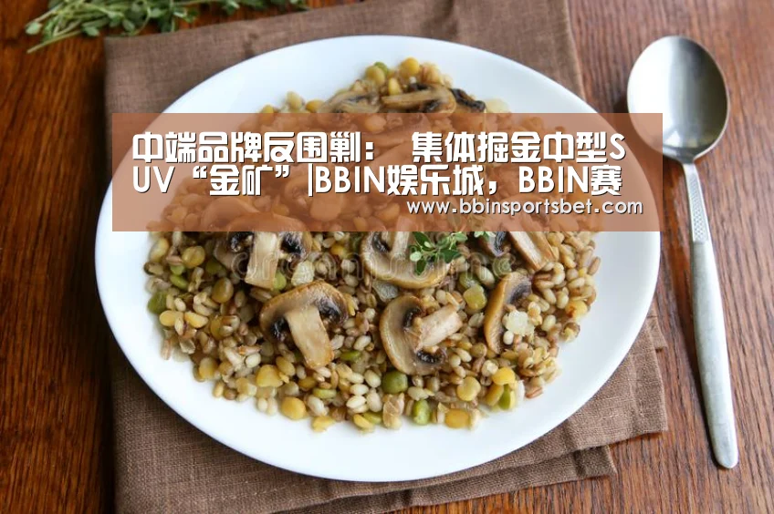 BBIN娱乐城，BBIN赛事，BBIN体育，BBIN电竞