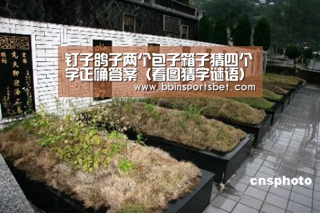 BBIN娱乐城，BBIN赛事，BBIN体育，BBIN电竞