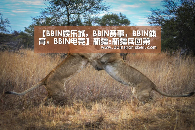 BBIN娱乐城，BBIN赛事，BBIN体育，BBIN电竞