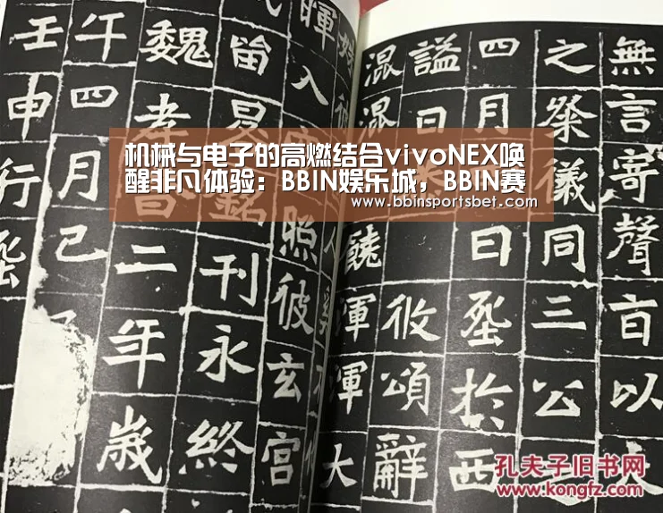 机械与电子的高燃结合vivoNEX唤醒非凡体验:BBIN娱乐城,BBIN赛事,BBIN体育,BBIN电竞(图4) BBIN娱乐城,BBIN赛事,BBIN体育,BBIN电竞