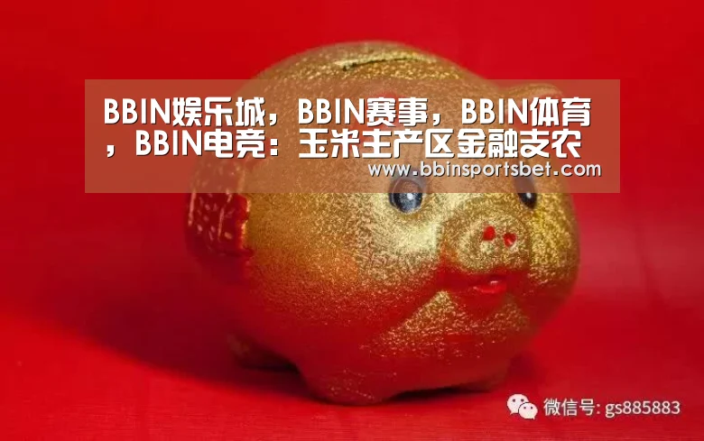 BBIN娱乐城,BBIN赛事,BBIN体育,BBIN电竞:玉米主产区金融支农方向宜早作调整(图2) BBIN娱乐城,BBIN赛事,BBIN体育,BBIN电竞