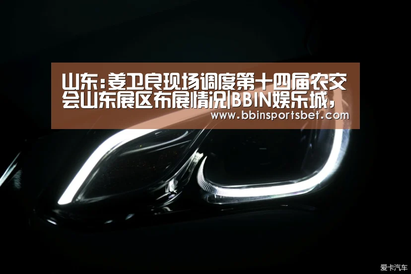 山东:姜卫良现场调度第十四届农交会山东展区布展情况|BBIN娱乐城,BBIN赛事,BBIN体育,BBIN电竞(图3) BBIN娱乐城,BBIN赛事,BBIN体育,BBIN电竞