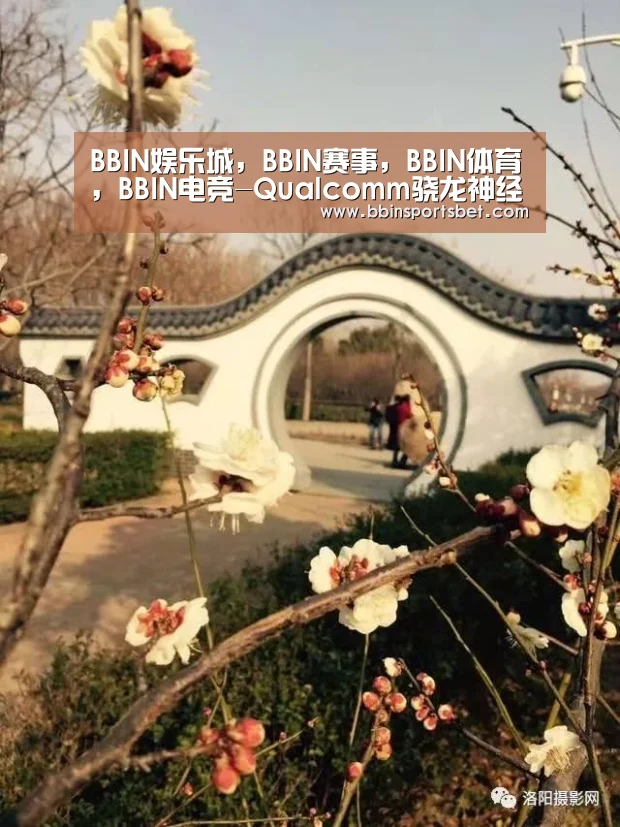 BBIN娱乐城,BBIN赛事,BBIN体育,BBIN电竞-Qualcomm骁龙神经处理引擎助力,手机QQ“高能舞室”实现人工智能(图1) BBIN娱乐城,BBIN赛事,BBIN体育,BBIN电竞