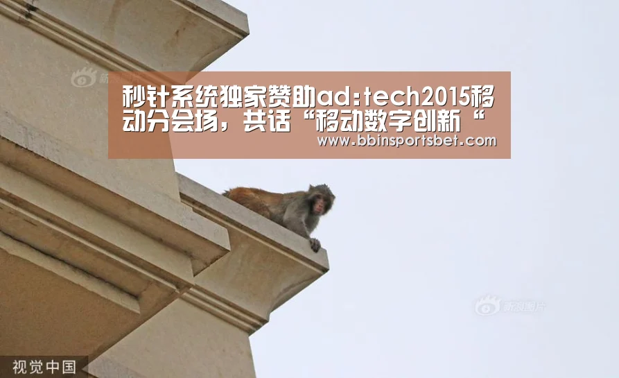 秒针系统独家赞助ad:tech2015移动分会场,共话“移动数字创新“-BBIN娱乐城,BBIN赛事,BBIN体育,BBIN电竞(图2) BBIN娱乐城,BBIN赛事,BBIN体育,BBIN电竞